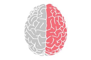 Incapacidad Permanente. Juzgado Social Cáceres. Parálisis lado.